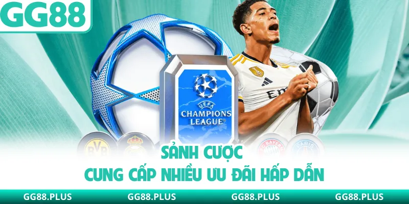 Sảnh cược cung cấp nhiều ưu đãi hấp dẫn